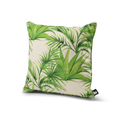 B Cushion Palm